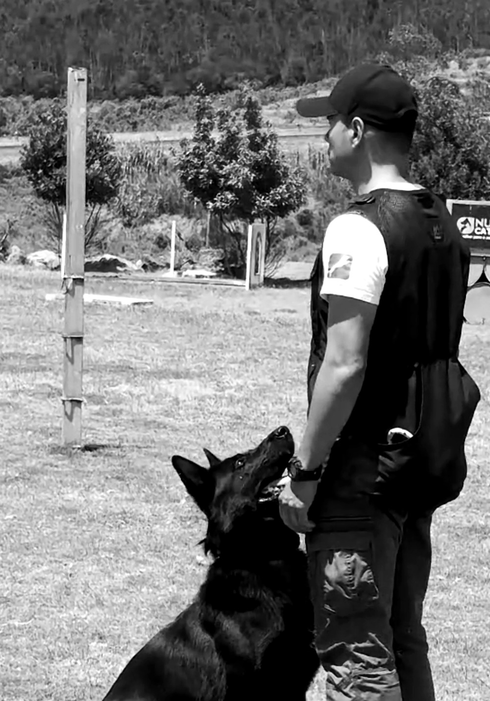 Carlos e Zeus no campo de treino